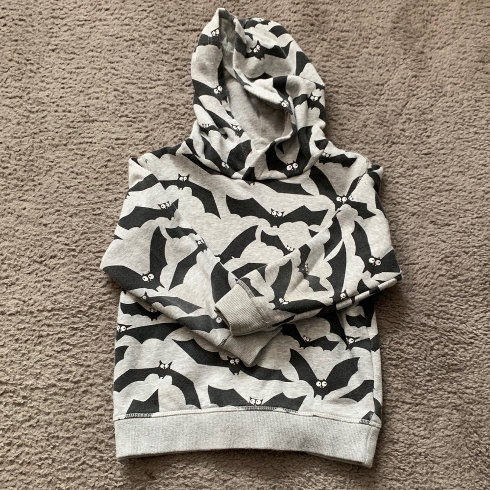 H&M Gray Bat Hoodie